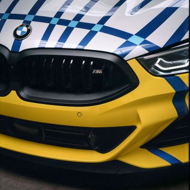 Jeff Koons X BMW 8