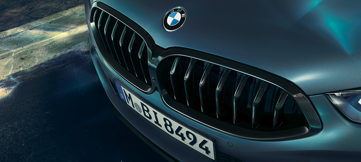 Радиаторная решетка BMW M850i Coupe First Edition Крупный план радиаторной решетки BMW M850i Coupe First Edition