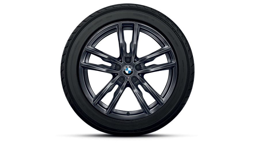 19" Double Spoke 698M. 19" Double Spoke 698M.