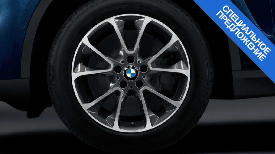 Комплект колес с зимними шинами BMW Star Spoke 449. Зимние колеса, шины BMW Star Spoke 449.