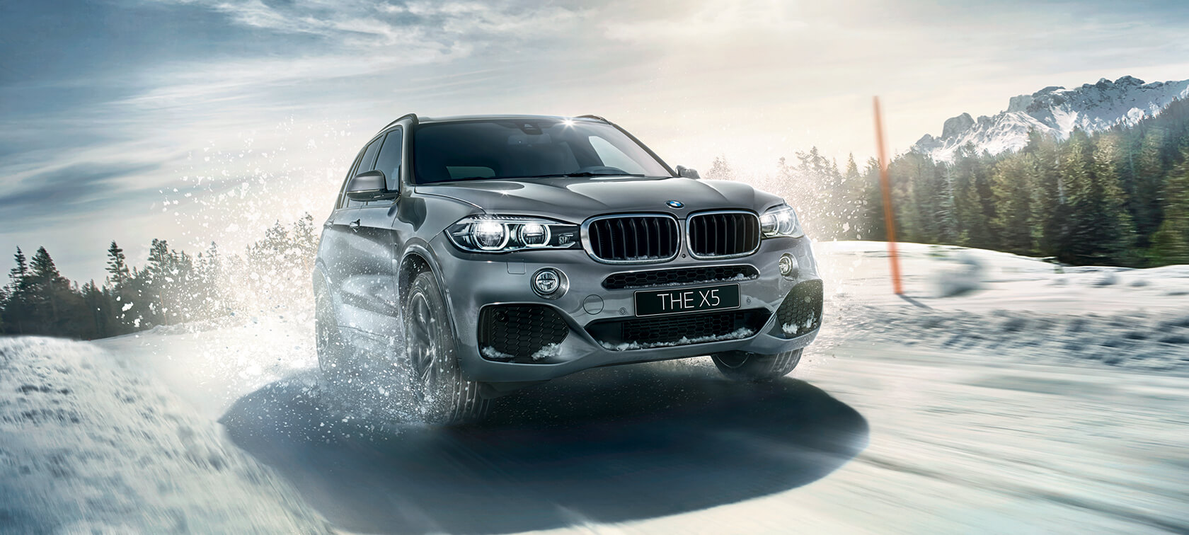 BMW X6 (F16) BMW X6 (F16)